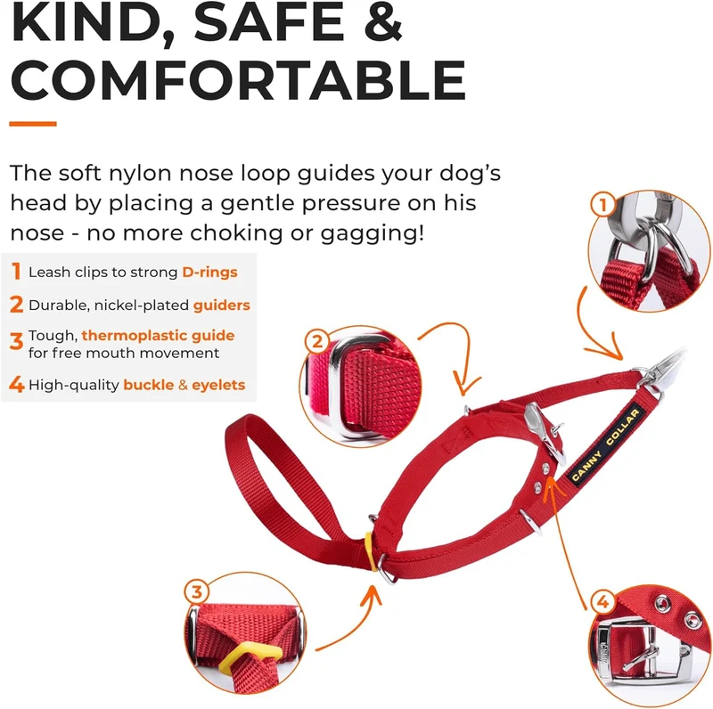 Collar Canny | El mejor collar anti tirones para ayudar a entrenar a tu perro a no tirar