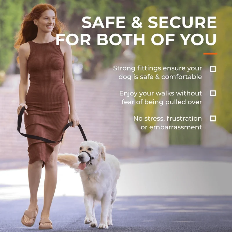 Collar Canny | El mejor collar anti tirones para ayudar a entrenar a tu perro a no tirar