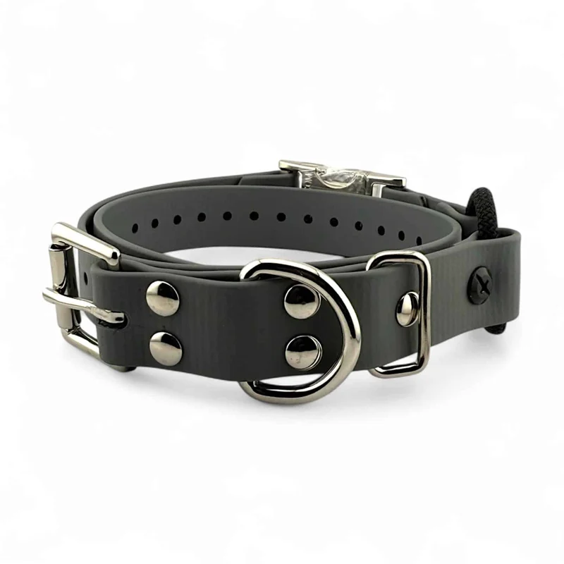 1” Quick Snap Bungee Collar (fits Dogtra)