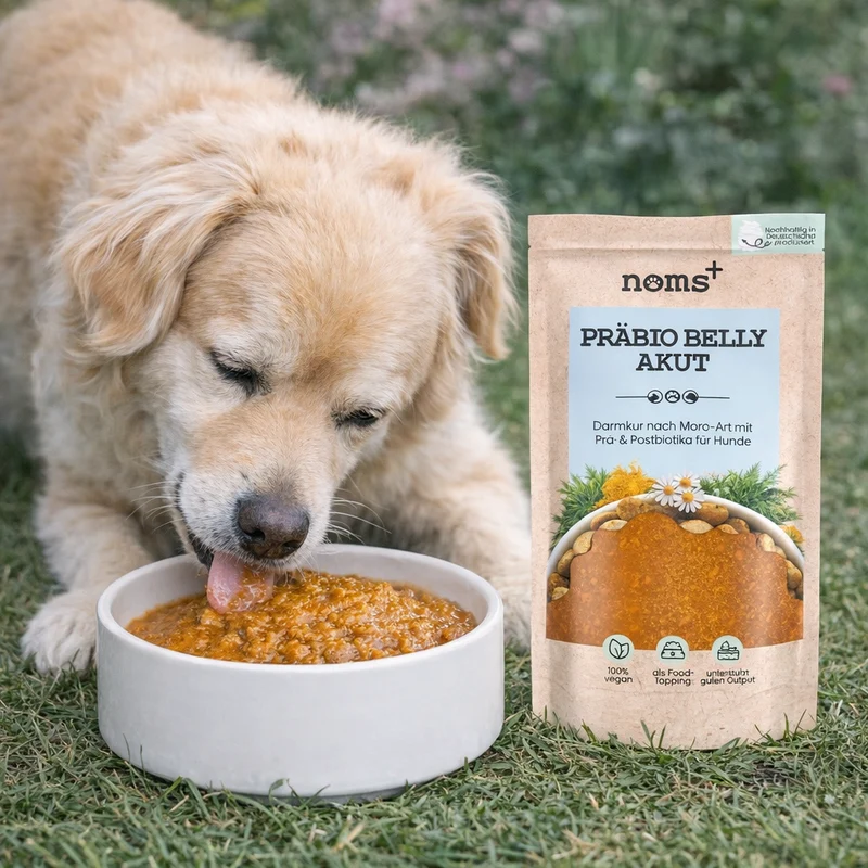 Noms+ Prebio Belly Acut (Sopa de Moro) 200g
