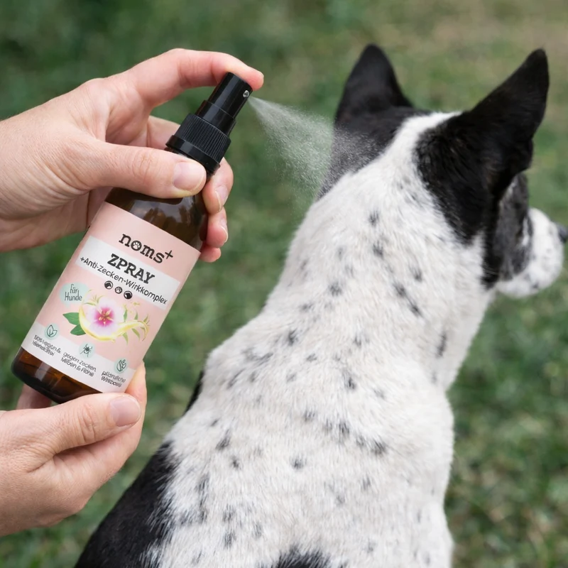 Noms+ Dog Zpray Repelente Natural 100ml