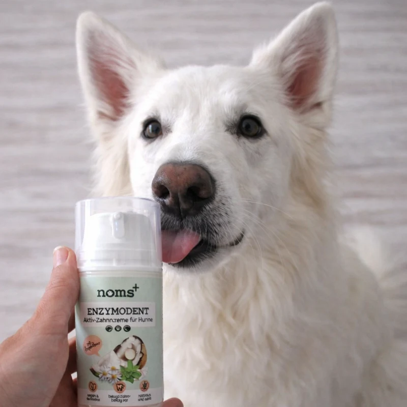 Noms+ Dog Enzymodent Dentífrico Enzimático