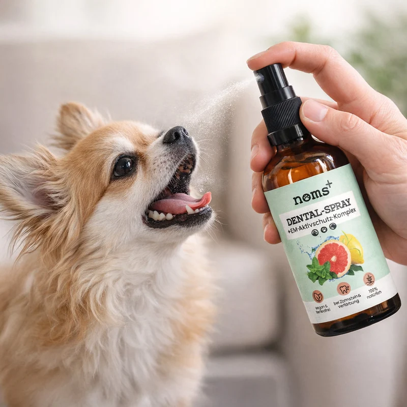 Noms+ Dental Spray