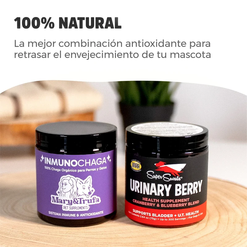 Pack Antiox - Inmunochaga (75g) + Urinary Berry (75g)