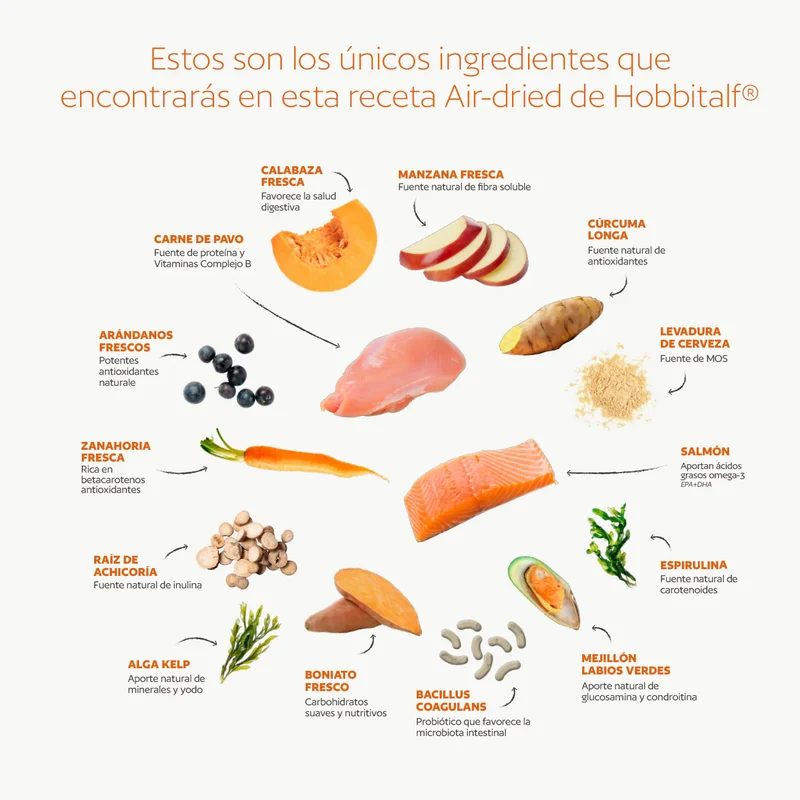 Hobbitalf Dog Air-dried Superfood Adult Salmón&Pavo