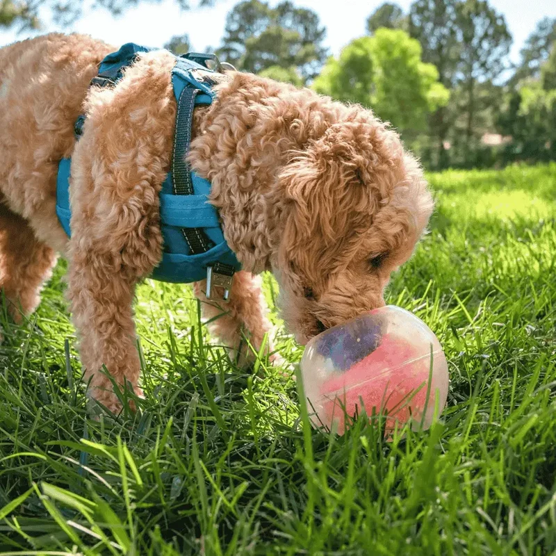 Nina Ottosson Rumble Puzzle Interactivo para perros