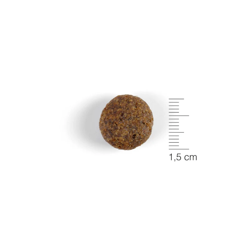 NATURA DIET CORDERO Y ARROZ 12 KG