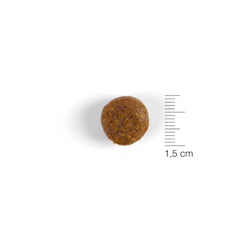 NATURA DIET DOG PUPPY JUNIOR LARGE BREED 12 KG