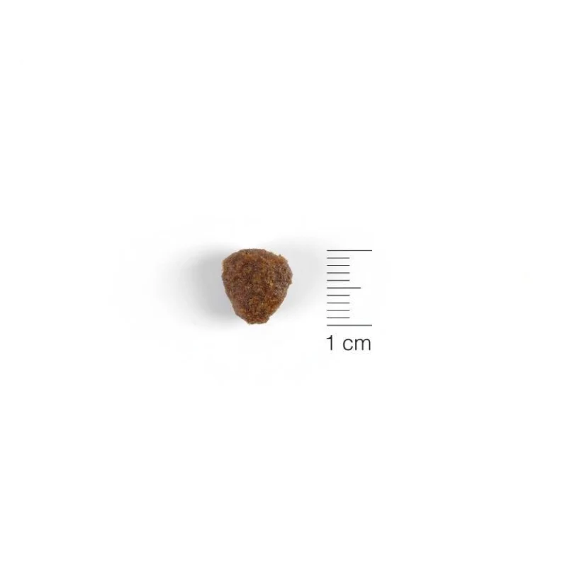 NATURA DIET DOG PUPPY STARTER 12 KG