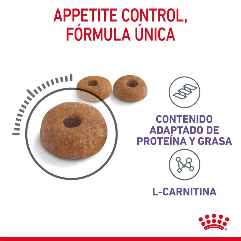 Royal Canin Appetite Control Pienso para Gatos