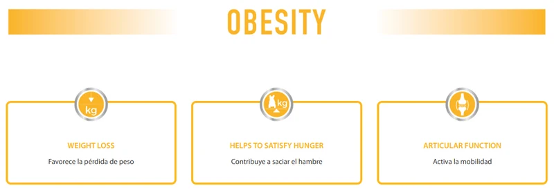 Picart Select Diet Obesity Pienso para Perros con Sobrepeso