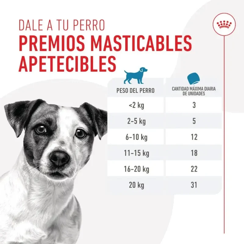 Royal Canin Training 110 g Snack Entrenamiento para Perros