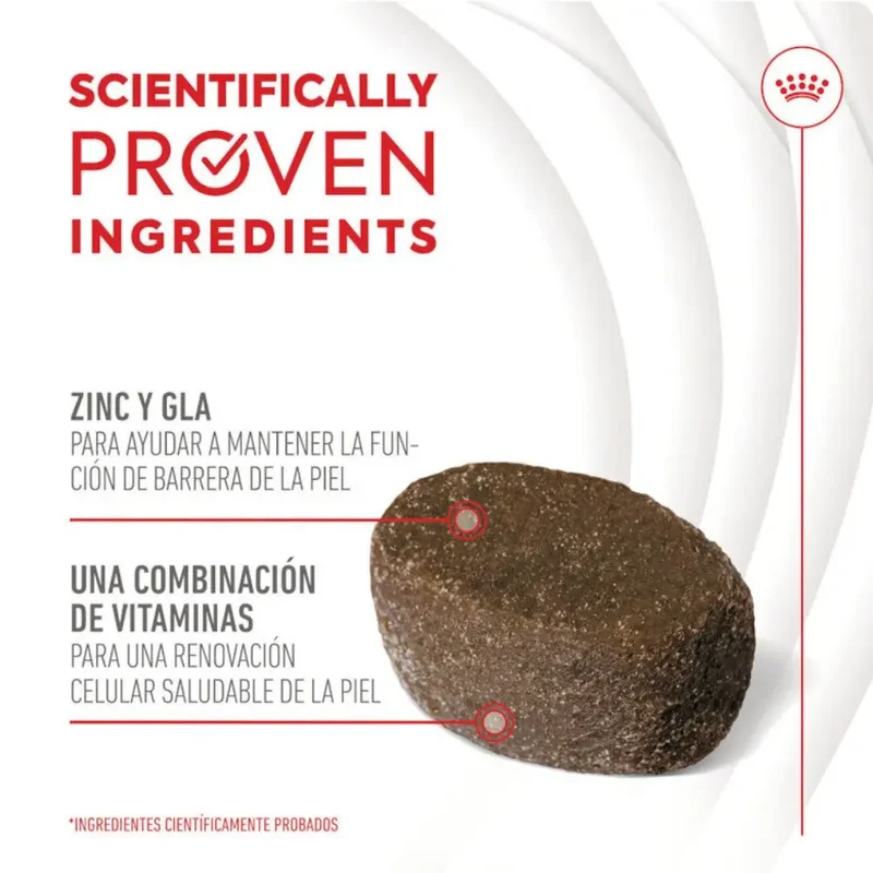 Royal Canin Skin & Coat Chews 240 g Suplemento para Perros Adultos