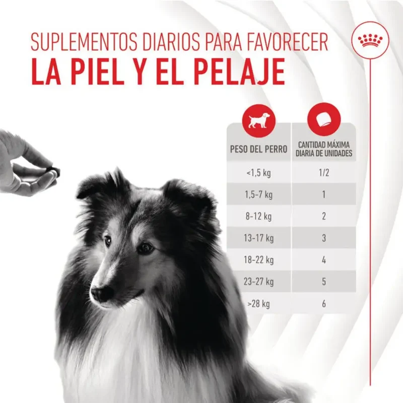 Royal Canin Skin & Coat Chews 240 g Suplemento para Perros Adultos