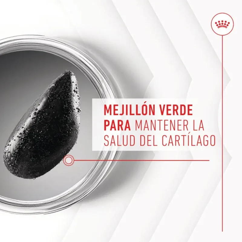 Royal Canin Adult Joint & Ageing 240 g Suplemento para Perros Adultos