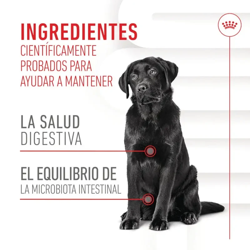 Royal Canin Digestive Support Chews 160 g Suplemento para Perros Adultos