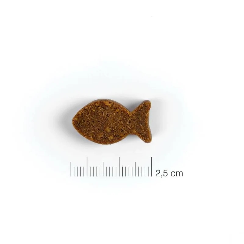 SNACKS MOMENTS PERROS SALMON DINGONATURA 60 GRAMOS