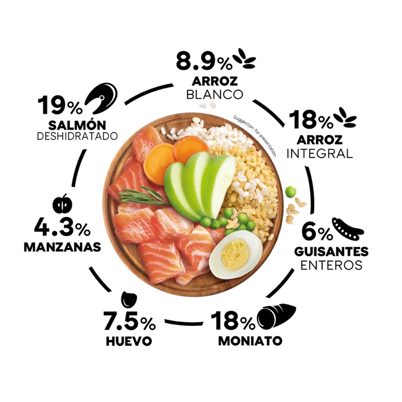 Picart Select Sensitive Extra Salmón & Rice Pienso para Perros