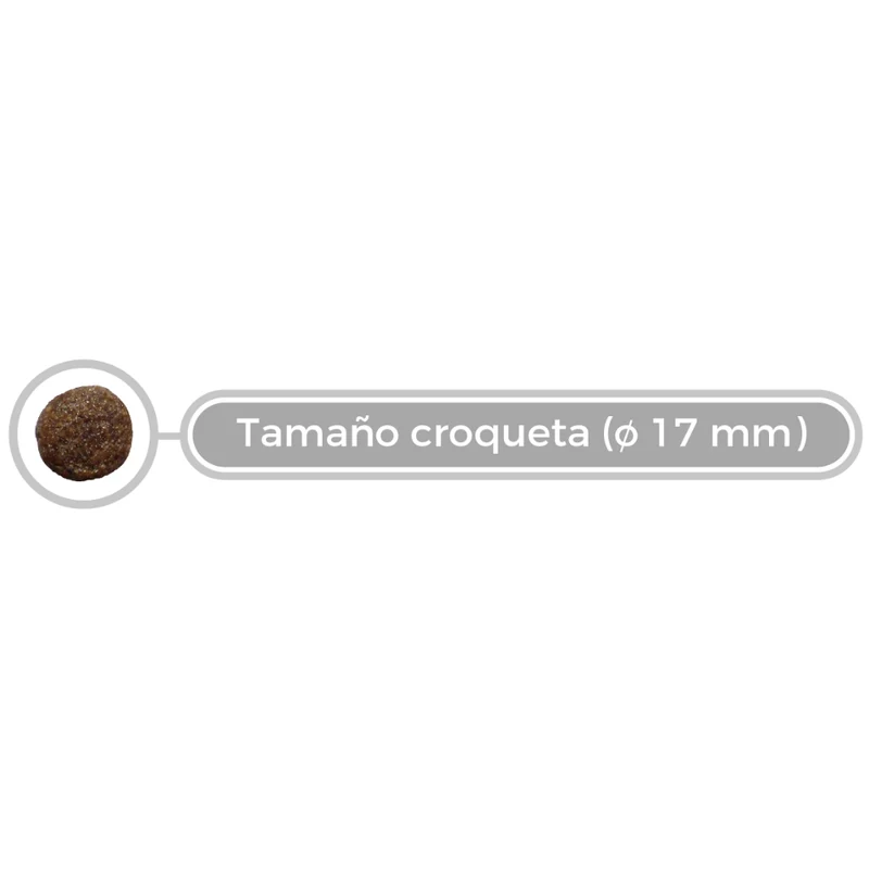 Picart Select Veterinary Diet Mobility Pienso para Perros