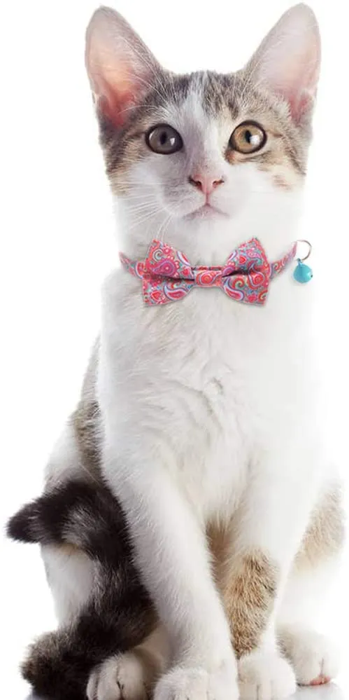 BINGPET 2 collares para gatos con campana, collar de seguridad ajustable para gatos, gatitos, cachemir