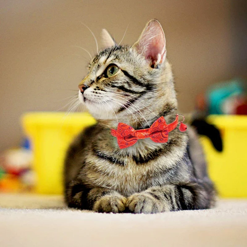 BINGPET 2 collares para gatos con campana, collar de seguridad ajustable para gatos, gatitos, cachemir