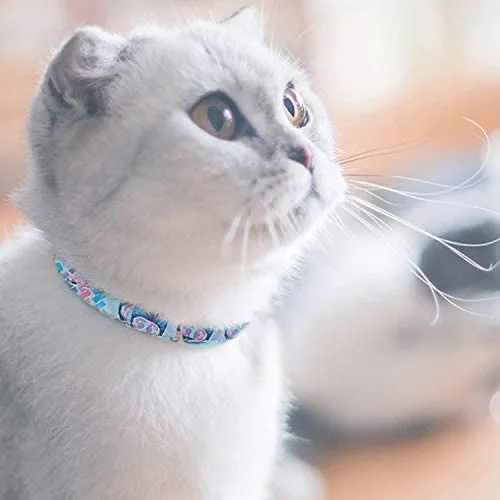touchcat impreso collar de gato de nylon con cinturón de seguridad 8 – 12 inches