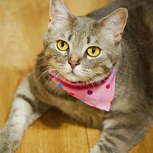 Azuza - Collares para gato pequeño con campanas extraíbles, 2 unidades de collares de piel sintética con pajarita y bandana