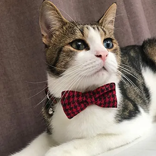 Azuza - Collares para gato pequeño con campanas extraíbles, 2 unidades de collares de piel sintética con pajarita y bandana