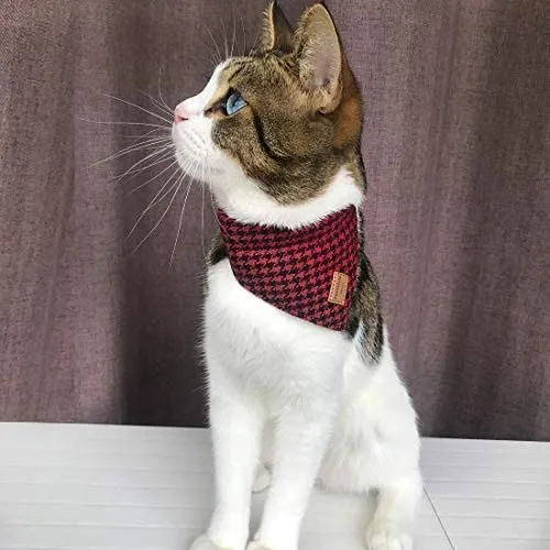 Azuza - Collares para gato pequeño con campanas extraíbles, 2 unidades de collares de piel sintética con pajarita y bandana