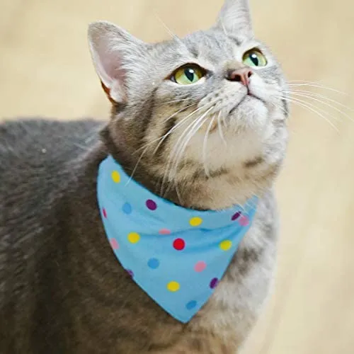 Azuza - Collares para gato pequeño con campanas extraíbles, 2 unidades de collares de piel sintética con pajarita y bandana