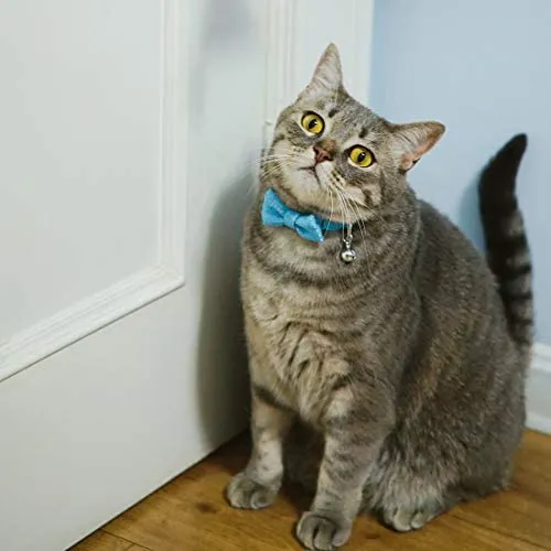 Azuza - Collares para gato pequeño con campanas extraíbles, 2 unidades de collares de piel sintética con pajarita y bandana