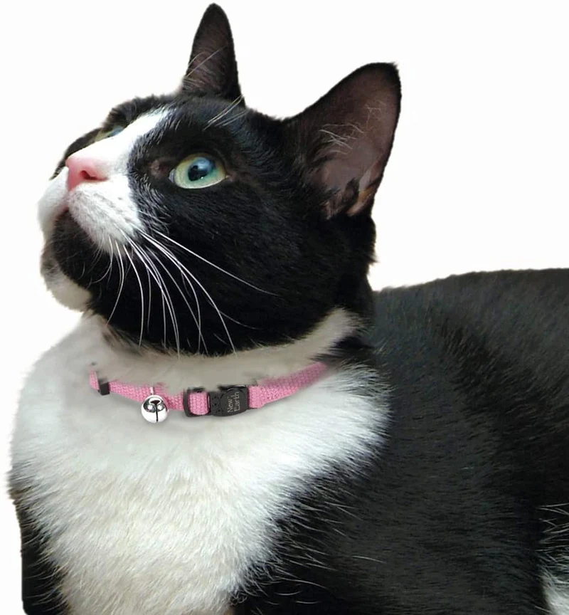 1 x Nuevo tierra collar de gato – 3/8" – índigo