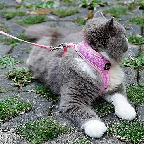 worderful malla gato arnés con correa para mascotas arnés Juego gato caminar chaleco para gatito