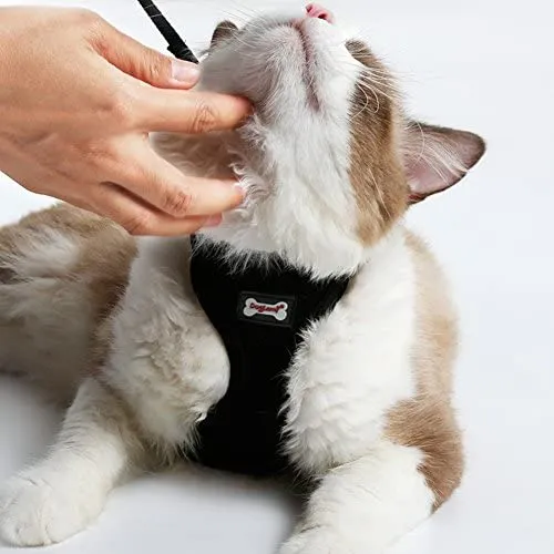 worderful malla gato arnés con correa para mascotas arnés Juego gato caminar chaleco para gatito