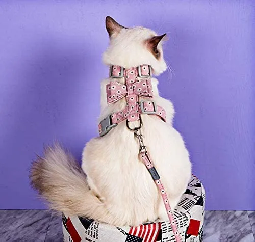 Arnés y tracción para gatos y mascotas, a prueba de escape, correa reflectante para gato, chaleco para gatos con patrón de personalidad, arnés de lazo, cinturón suave ajustable, hebilla de seguridad para caminar al aire libre, antivuelco.