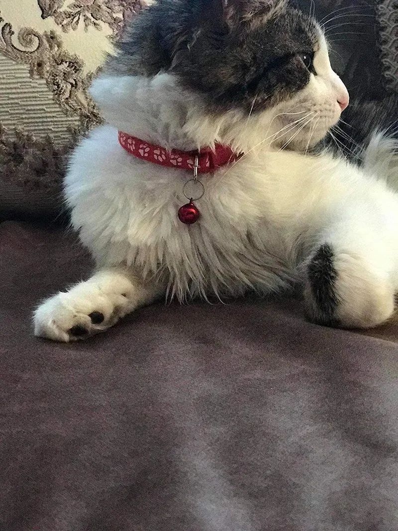 Yasma - Collar y campana para gato con hebilla de liberación rápida de seguridad, adecuada y ajustable