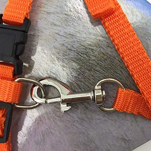 Gizhome - 2 arnés y correa ajustables de nailon para gato, color naranja y azul claro