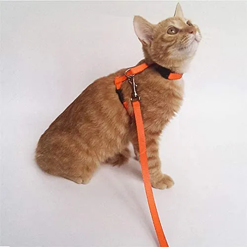 Gizhome - 2 arnés y correa ajustables de nailon para gato, color naranja y azul claro