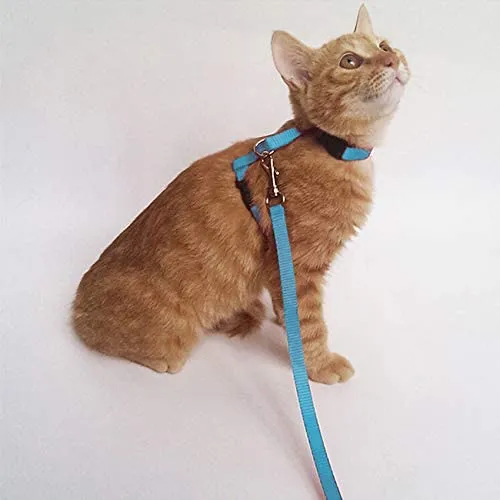 Gizhome - 2 arnés y correa ajustables de nailon para gato, color naranja y azul claro
