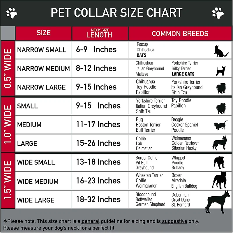 buckle-down pc-w30427-m Dinosaurios Negro/Multicolor de plástico Clip Collar, Medio/11 – 17"