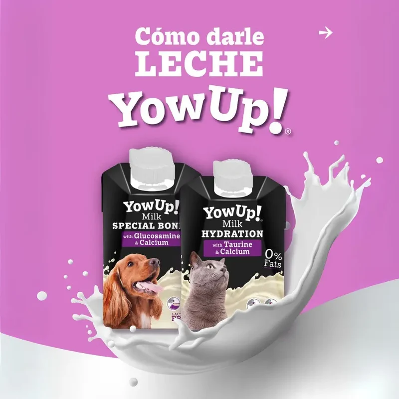 Leche para Gatos 200 ml YowUp!
