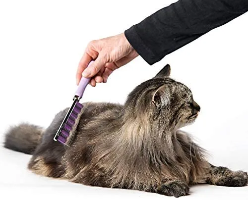Peine para mascotas de Small Pet Select HairBuster, herramienta para descamación de gatos Paquete de 10