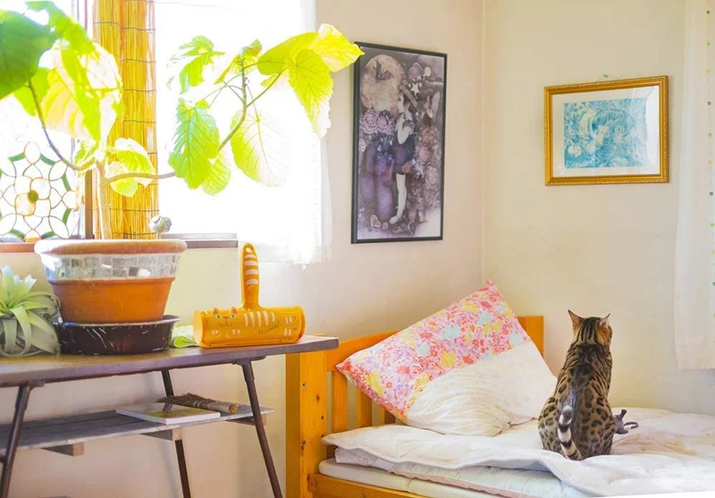Removedor de pelo para mascotas, rodillo de pelusa, removedor de pelusas y rodillo de pelo para mascotas en uno. Retire el pelo del gato de muebles, alfombras, ropa de cama, ropa y mucho más.