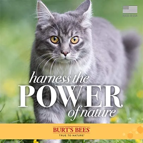 Burt's Bees Champú de gatito sin lágrimas con leche de mantequilla