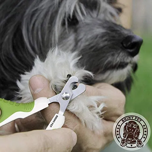 Cortaúñas para mascotas para animales pequeños, el mejor cortaúñas y cortaúñas de gato para el hogar, herramienta de aseo profesional para perros pequeños, gatos gatitos, guía electrónica