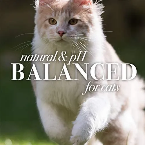 Burt's Bees para gatos Champú hipoalergénico con manteca de karité y miel | El mejor champú para todos los gatos y gatitos con piel sensible, incluye manteca de karité y miel