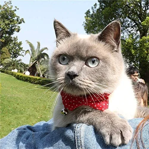 CHUKCHI Cat Collar Breakaway with Cute Bow Tie and Bell for Kitty and Some Puppies (red+Black) (red+Black)