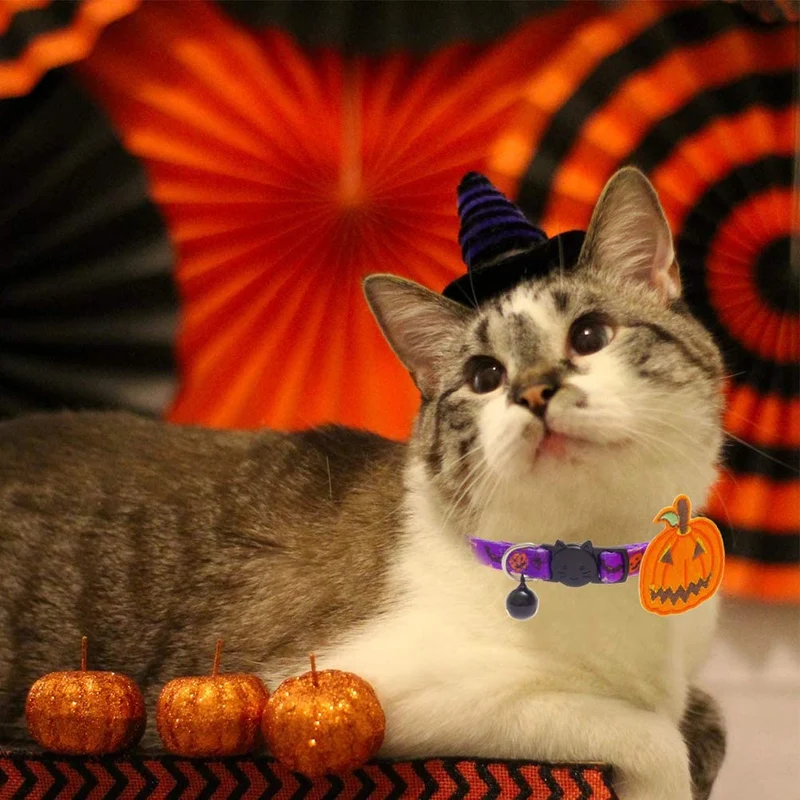 PAWCHIE 2 collares para gatos de Halloween con campana ajustable Breakaway Cat Collar con patrón de murciélago de calabaza para fiesta de Halloween