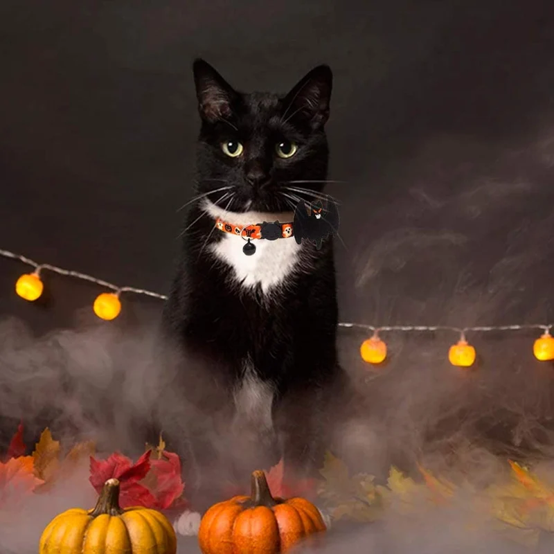 PAWCHIE 2 collares para gatos de Halloween con campana ajustable Breakaway Cat Collar con patrón de murciélago de calabaza para fiesta de Halloween