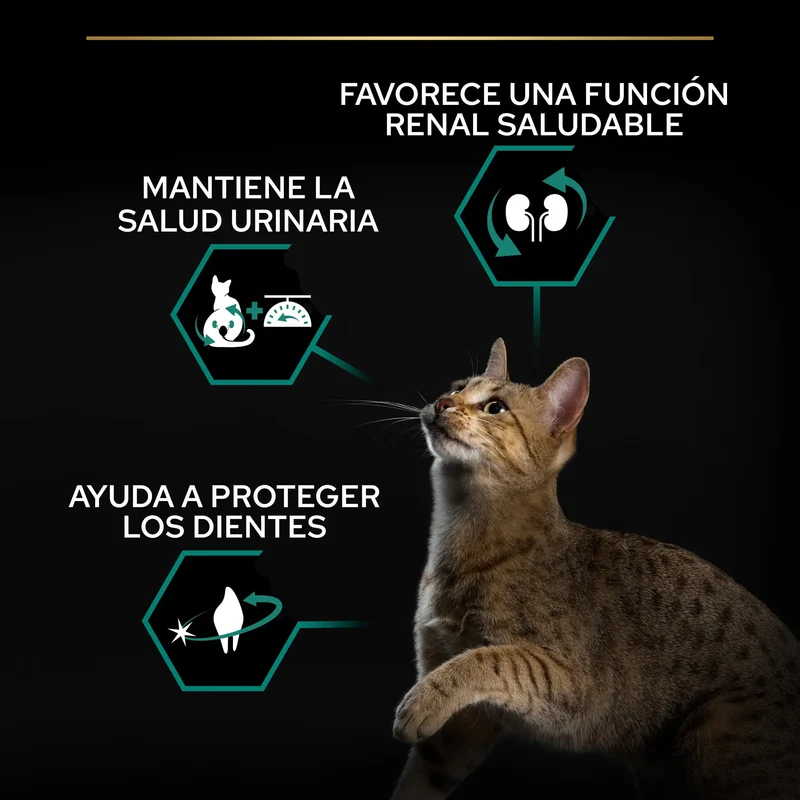 Pro Plan Cat Sterilised Adult Renal+ Pavo Pienso para Gatos Esterilizados